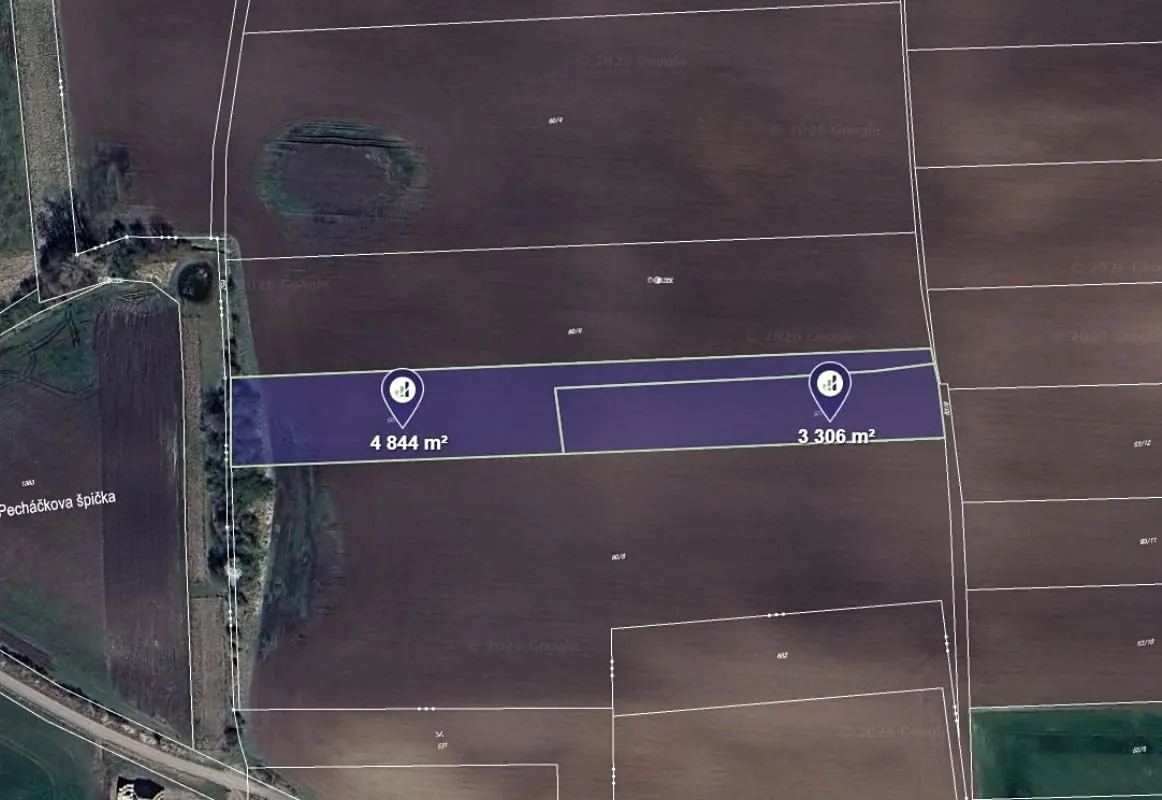Prodej pole 8150 m²